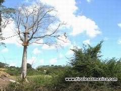 Tirolesa Ceiba