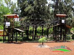 puente colgante con tirolesa